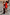 Thumbnail for Chocolate satin-feel wide leg trousers with blue lace trim, styled as a co-ord on stone steps.