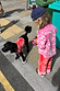 Kids Red and Pink Bandana Knitted Set with a paisley print, worn by a child walking a dog in matching knitwear.