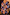 Thumbnail for Chocolate and Blue Sun Bandana