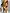 Thumbnail for Verano Tate Shorts and Sol Waistcoat in an orange tropical print, styled for a vacation capsule wardrobe.