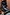 Thumbnail for Black Vegan Leather Trousers with a high waist and straight leg, styled with a black knit top and leopard print heels.