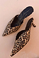 Leopard Heel Mules featuring a pointed toe, kitten heel, and animal print upper with black branded insoles.