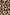 Thumbnail for Close-up of the iconic brown leopard print fabric with black and orange tones from the Leopard Mini Jaspre Skirt.