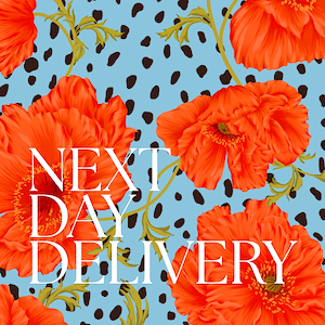 UK Next Day Delivery for 1 Year