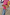 Thumbnail for Pink Mix Tile Long Sleeve Mesh Top