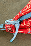 Thumbnail for Red Paisley Bum Bag