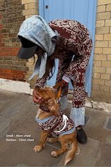 Chocolate Bandana Dog Jumper in a brown and blue knit, worn by a dog with matching bandana print knitwear.