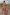 Thumbnail for Tapestry Tank