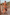 Thumbnail for Tapestry Tank