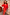Thumbnail for Red Celestial Cardigan with embroidered sun and palm motifs, styled with a matching printed skirt.