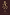 Thumbnail for NFD Eau De Parfum 001 graphic featuring gold celestial icons and a palm tree on a dark brown background.