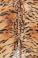 Animal Cali Top detail featuring a sheer tiger print and three tie-front bow fastenings on lightweight fabric.