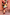 Thumbnail for Jardin Du Soleil Aria Dress