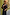 Thumbnail for caption_Model is 5ft7” and wears size M

