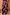 Thumbnail for Chocolate and Blue Sun Trousers