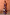 Thumbnail for Chocolate and Blue Sun Trousers
