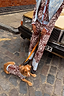 Chocolate Bandana Dog Jumper in a brown paisley knit with blue trim, worn by a dog on a cobblestone street.
