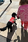 Red and Pink Bandana Dog Jumper on a black dog, styled with matching kids bandana print knitwear for a London look.
