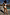 Thumbnail for Blue Dreamer High Waist Brief in an abstract sun and palm print, styled poolside on vacation.