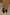 Thumbnail for Black Leather Boots featuring gold metal studs and a square toe, styled with a tan studded skirt.