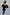 Thumbnail for Black Mono Crochet Chloe Dress with white frilled trims and a wide fishnet knit structure on a model.