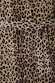 Lucia Leopard Denim 55 Coat detail featuring signature leopard print denim, tortoiseshell buttons and a tie waist.