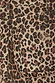 Thumbnail for Leopard Lucia Shorts detail featuring brown leopard print denim, a scalloped pocket, and an embroidered logo.