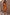 Thumbnail for Multi-wear Fawn Lily Top and matching Maeva maxi skirt co-ord in a brown fawn print with blue tie neck detail.