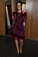 Wine Mesh Feather Mini Dress in burgundy with mesh sleeves and detachable feather trims on the cuffs and hem.