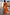 Thumbnail for Burnt orange Blurred Floral Sofia Dress featuring a deep V-back and tie-knot shoulder details.