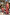 Thumbnail for NFD Kids Pink Fruit Wide Leg Set with a cotton peplum top and frill hems on a child posing on a sandy beach vacation.