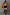 Thumbnail for Gold Fringe Jacket with layered tassels in a gold foil finish, worn with black shorts and knee-high boots.
