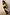 Thumbnail for Gold Fringe Jacket with tiered gold foil tassels, styled with black shorts and tall black boots.