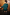 Thumbnail for Bottle Green Jamie Jumper with detachable feather trims, shown from the back against wooden panelling.