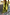 Thumbnail for caption_Model is 5ft3” and wears UK size 10/ US 6