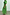 Thumbnail for Green Shirred Nara Dress featuring a shirred bodice, puff sleeves and a pleated midaxi skirt.