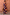 Thumbnail for Chocolate and Blue Sun Jaspre Skirt