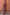 Thumbnail for Chocolate and Blue Sun Jaspre Skirt