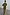 Thumbnail for Khaki mini plisse Tilly dress with gold flecks and an elasticated waist seam on a model.