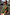 Thumbnail for Khaki sweatshirt with orange heart and palm tree embroidery in a slightly oversized fit for a street style look.