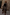 Thumbnail for Lucia Leopard Denim 55 Coat Petite in leopard print, styled with matching shorts and red floral sandals against a stone wall.