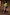 Thumbnail for Leopard Mini Jaspre Skirt styled with a green long-sleeved blouse and yellow-tinted sunglasses.