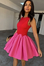 Thumbnail for Red and Pink Mini Monika Dress featuring a red panelled top and a pink pleated skirt with scalloped edging.