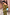 Thumbnail for Olive Blurred Leopard Tilly Dress