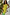 Thumbnail for Lime Ombre Plisse Claudia Dress with gold flecks and a frilled neckline, styled for a summer vacation.