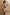 Thumbnail for Orange Acetate Visor Sunglasses with tinted lenses worn with a light blue floral ribbed midi dress.