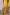 Thumbnail for Pink Fawn Poppy Midi Maeva Skirt with yellow floral motifs and contrast lace trim, styled with silver shoes.