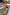Thumbnail for Pink Mix Tile Una Dress