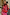 Thumbnail for Pink Paisley Oslo Cardigan with red ribbed trims and a boxy fit, styled with a matching skirt in a mirror selfie.