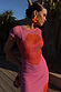 Thumbnail for Pink Poppy Sleeveless Mesh Dress with a bold orange poppy print and matching floral earrings in the sun.